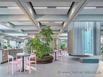 Firmen-Architektur – Homeoffice ade! - BZ Berner Zeitung