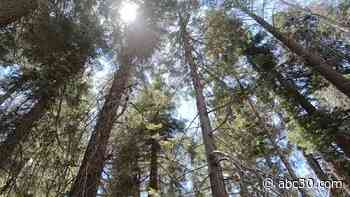 Kings Canyon National Park closed due to KNP Complex Fire