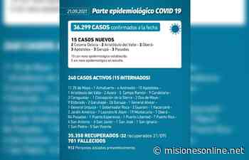 Coronavirus en Misiones: se confirmaron 15 casos y no hubo muertes en las últimas 24 horas - MisionesOnline - Misiones OnLine
