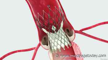 Low Risk and Bicuspid Anatomy: A Passable Combination for TAVR Thus Far