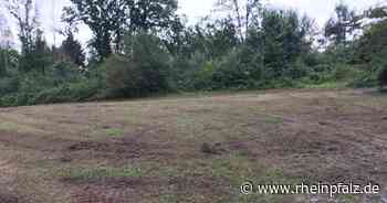 Ärger über mangelnde Sauberkeit und Grünflächenpflege - Rheinpfalz.de