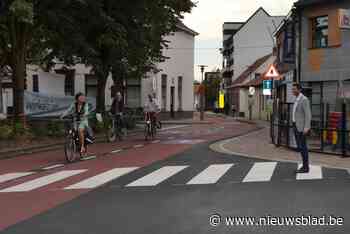 Sint-Franciscusscholen organiseren met medewerking van gemeentebestuur een Strapdag XL - Het Nieuwsblad