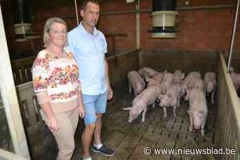 Cultuurcentrum Evergem gaat de boer op in het Zwijntjeshof: “Een verhaal over landbouwers in de puree, dat is - Het Nieuwsblad