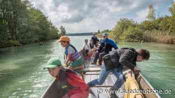 Wörthsee in Bayern: Wie SUPs den See bedrohen - Süddeutsche Zeitung