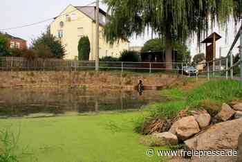 Streit um Teichsanierung: Ortsvorsteher droht mit Austritt - Freie Presse