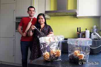 Indonesië gemixt met Hemiksem: Klappertaart en rambutankoekj... (Hemiksem) - gva.be