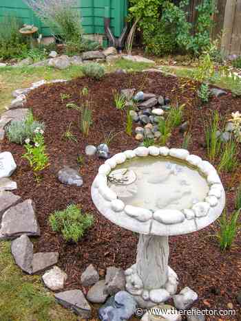 Mark your calendar: WSU Master Gardener online workshops for October - The Reflector