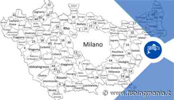 Lenza Azzurra Lainate Maver vittoriosa in Mincio al Provinciale Squadre di Milano - Fishingmania