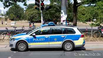 Erneut Jugendlicher im Alaunpark in Dresden attackiert - Tatverdächtige gefasst - MDR