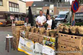 Azalea's voor Kom-Opwijk-tegen-Kanker (Opwijk) - Het Nieuwsblad