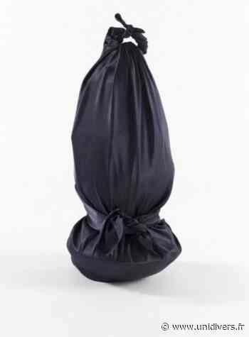 RENCONTRES INATTENDUES : Céline Vaché-Olivieri Centre Paris Anim’ Arras lundi 4 octobre 2021 - Unidivers