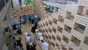 Arras : la saison redémarre enfin pour Cité Nature qui fera la fête, ce week-end - La Voix du Nord