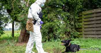 Eerste zedenhond van federale politie kan sperma lokaliseren - Het Laatste Nieuws