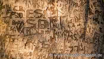 Unternehmensführung: Welchen Einfluss der Vorname des CEOs hat