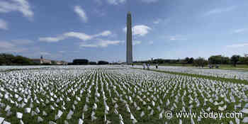Flag memorial on National Mall is powerful tribute to lives lost from COVID-19