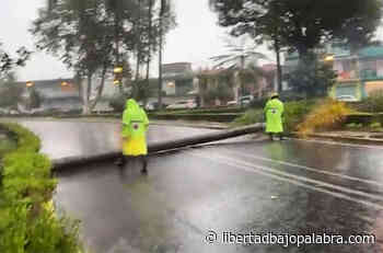 Se desprende parte de un cerro en la carretera Xalapa-Coatepec; cierran parcialmente un carril - Libertadbajopalabra.com