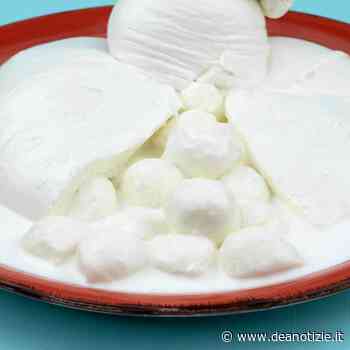 Capua – Escherichia coli nella burrata di bufala: è allerta dalla Francia all'Italia - Dea Notizie