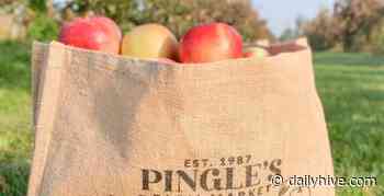 Here's where to pick your own apples around Toronto | Listed - Daily Hive