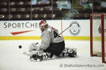 Maple Leafs' SDA, Robertson, Scott & McKenna: Game 3 Prospects Stars - The Hockey Writers