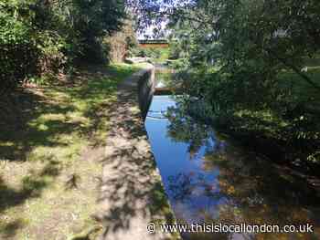 Lewisham Thames Water: Toxic blue substance in Catford