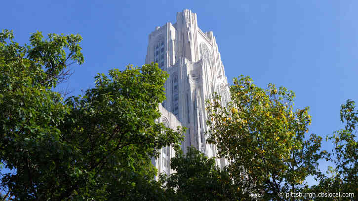 University Of Pittsburgh Staff Launch Campaign To Unionize