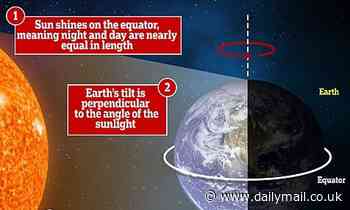 Autumn begins TONIGHT when the sun will be directly above the equator