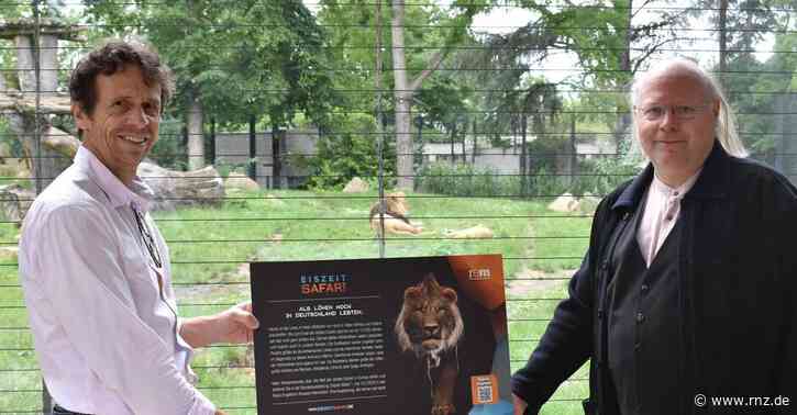 Mannheim/Heidelberg:  Reiss-Engelhorn-Museen und Zoo haben tierische Gemeinsamkeiten