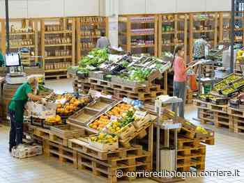 Supermercati, a Reggio Emilia e Modena si può risparmiare fino a 1500 euro - Corriere della Sera