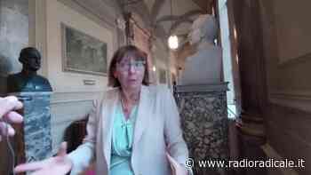 La fiducia sulla riforma del processo civile: intervista a Fiammetta Modena (21.09.2021) - Radio Radicale