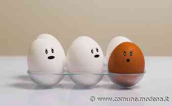 Educare alle differenze per promuovere la cittadinanza di genere. - Comune di Modena