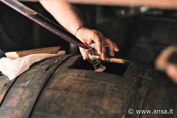 Alimentare: torna Acetaie aperte nella provincia di Modena - Agenzia ANSA