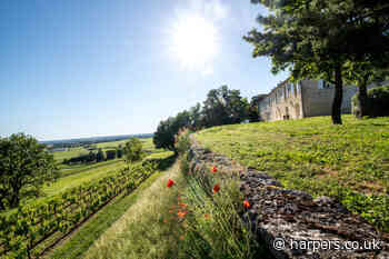 Domaine Clarence Dillon portfolio grows as Chateau Quintus acquires Chateau Grand-Potent - Harpers Wine & Spirit Trade Review