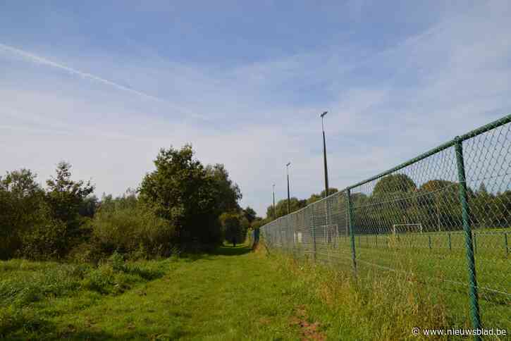 Hoeveelheid asbest onder reservaat zomerklokje niet alarmerend: interne sanering met bufferwal mogelijk