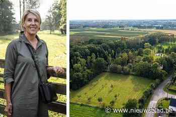 Wellenaren zetten hakken in het zand: “Kunnen niet zomaar Alkenaren van ons maken”