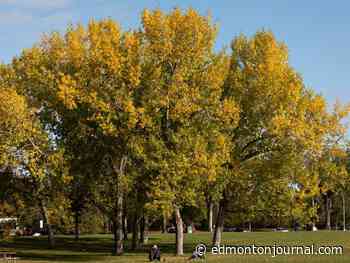 Edmonton weather: Colourful leaves, a chill in the breeze and pumpkin spiced everything, it must be the first day of fall