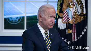 Biden approval rating drops to record low 43 percent in Gallup polling