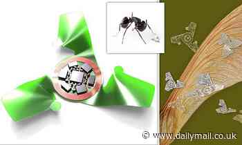 Winged microchip the size of a grain of SAND is the smallest human-made flying structure