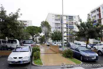 A Cannes, des dealers du quartier de La Frayère condamnés