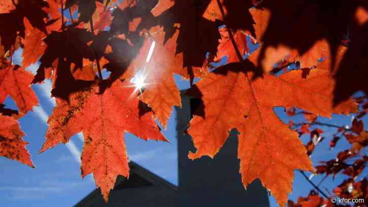 First day of fall is here: What you might not know about the season