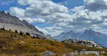 ‘Normal’ autumn expected after one of the hottest summers ever in Alberta