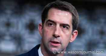 Sen. Cotton: The World Is Laughing at the United States After Biden's UN Speech