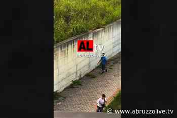 Vasto. Spari e caccia ai ladri nell'erba alta: i video degli arresti diventano virali - VIDEO - AbruzzoLive.tv