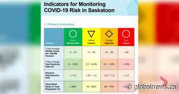 Saskatoon contemplates colour codes to indicate COVID-19 risk