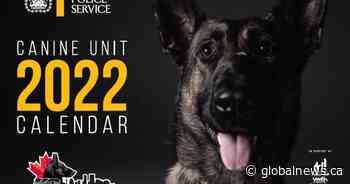 Calgary Police Services 2022 Canine Unit Calendar