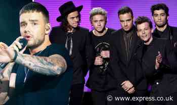 One Direction Liam Payne: 'I definitely think 1D reunion will happen' - Express