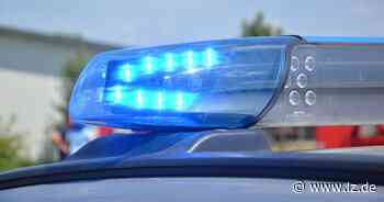 Wildschwein verursacht Crash mit zwei Autos - Lippische Landes-Zeitung