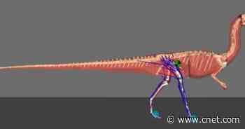 Some dinosaurs likely swung their tails to help them move, study finds     - CNET