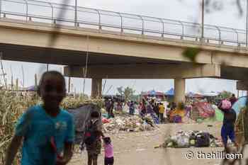 Democratic anger grows over treatment of Haitian migrants