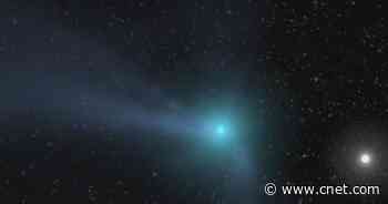 Giant Comet Bernardinelli-Bernstein is bigger than a Martian moon     - CNET