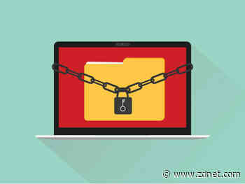 Druva's 'curated recovery' aimed at faster ransomware incident resolution